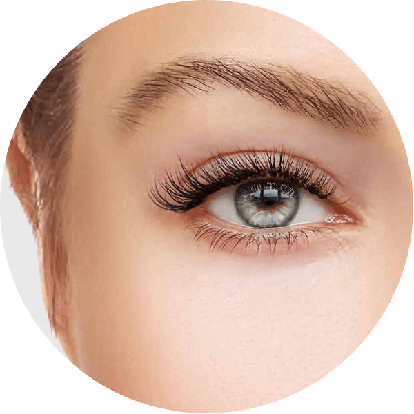 Wimpernliftung / Lash Lifting in Wien
