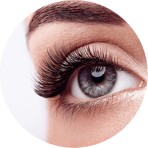 Wimpernverlängerung / Lash Extensions Wien